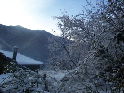  Image name: molino capodanno  2009 303 (202).jpg 
 width: 400 pixel 
 height: 301 pixel 
 Size: 113814 bytes 
 Click to enlarge 